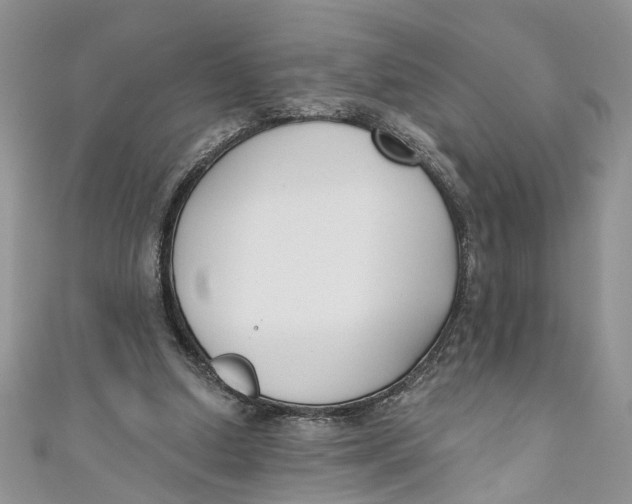 X0000110900250200907091422