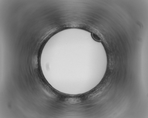 X0000110900251200907091422