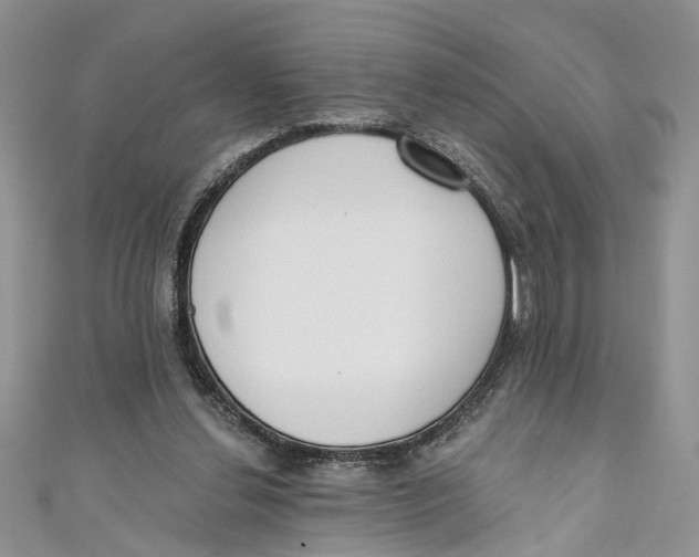 X0000110900252200907091422