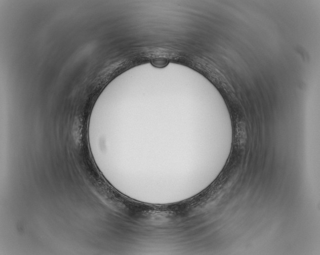 X0000110900255200907091422