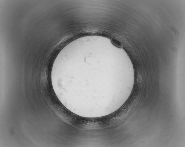 X0000110900256200907091422