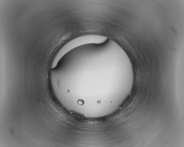 X0000110900260200907091422