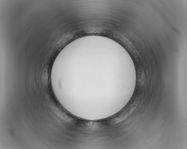 X0000110900261200907091422