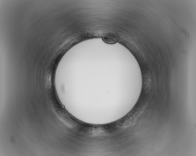 X0000110900262200907091422