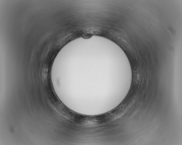 X0000110900263200907091422