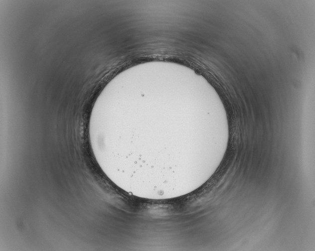 X0000110900268200907091422