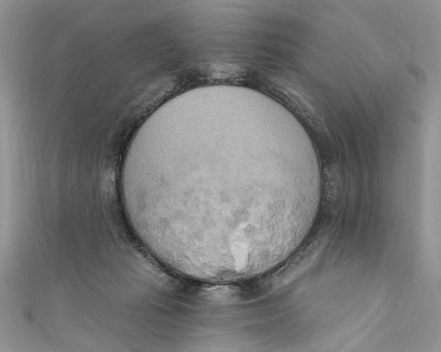 X0000110900269200907091422