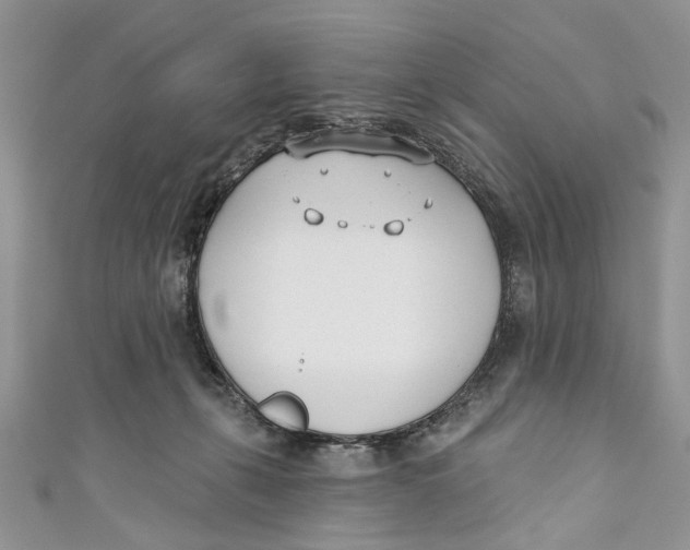 X0000110900271200907091422