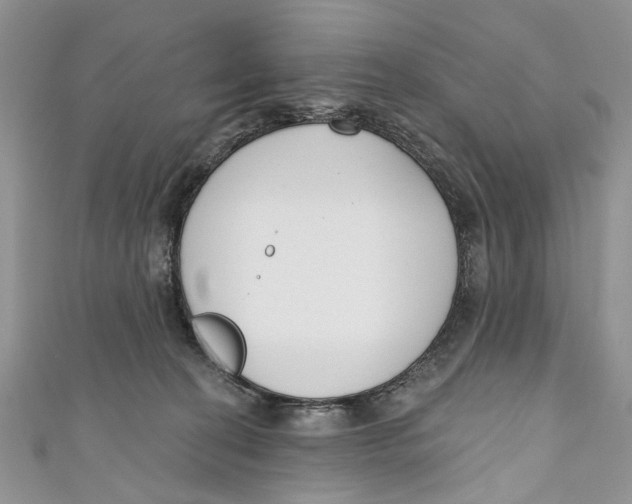 X0000110900274200907091422