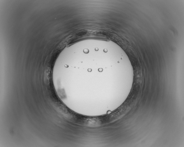 X0000110900275200907091422