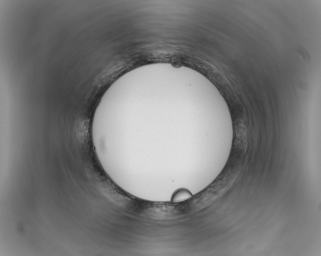 X0000110900278200907091422