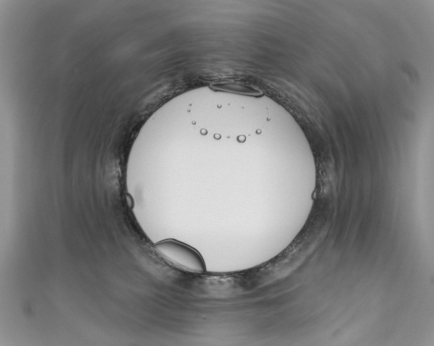 X0000110900279200907091422