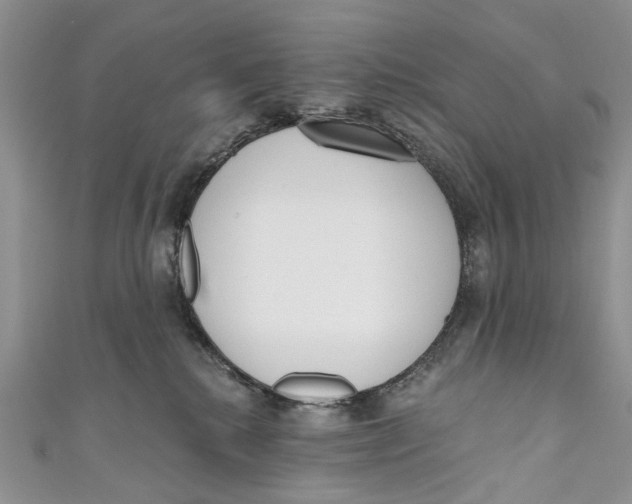 X0000110900280200907091422