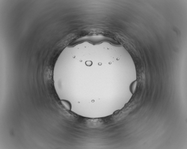 X0000110900281200907091422