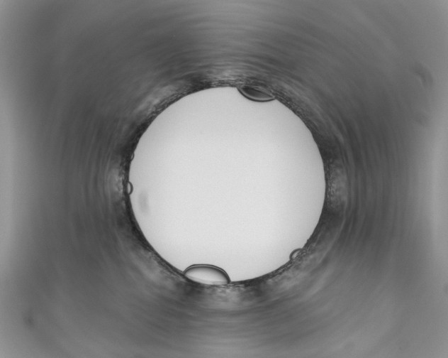 X0000110900282200907091422