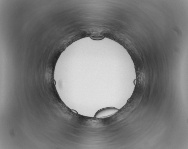 X0000110900283200907091422