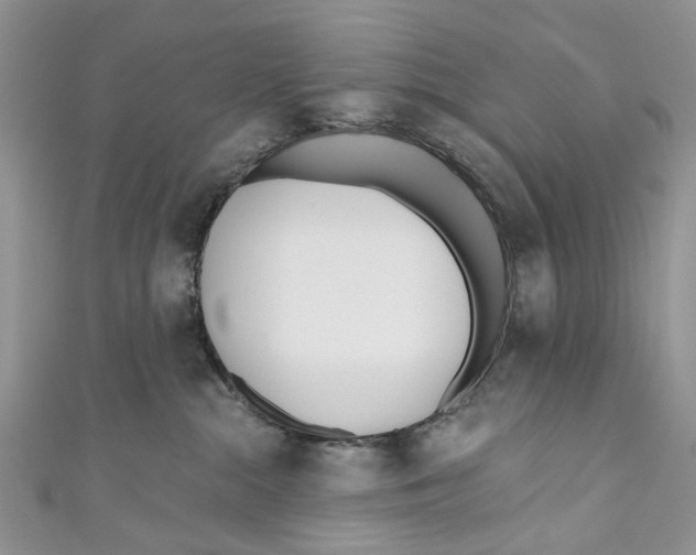 X0000110900284200907091422