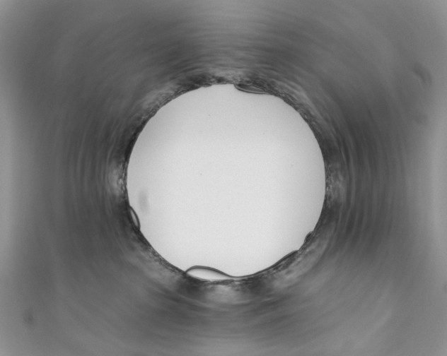 X0000110900285200907091422