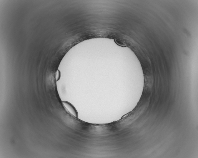 X0000110900286200907091422