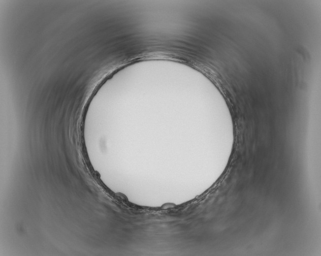 X0000110900289200907091421