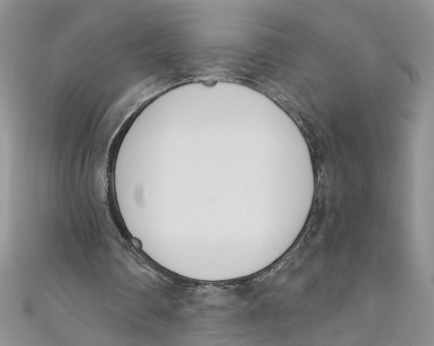 X0000110900290200907091421