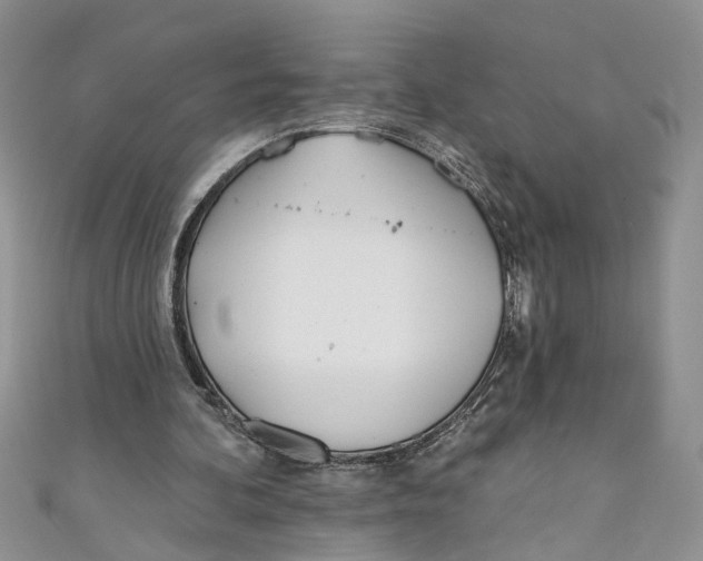 X0000110900292200907091421