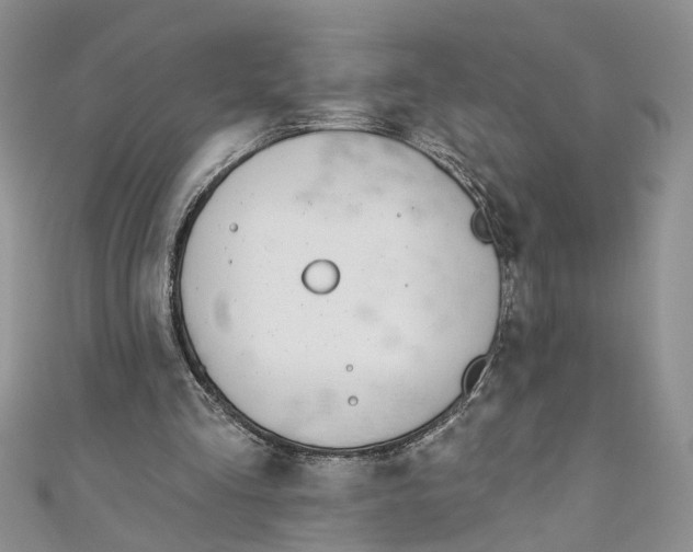 X0000110900293200907091421