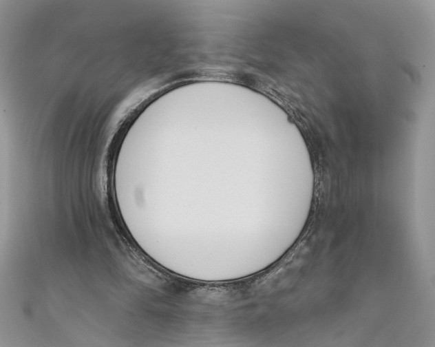 X0000110900294200907091421