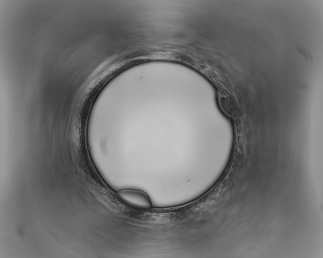 X0000110900295200907091421