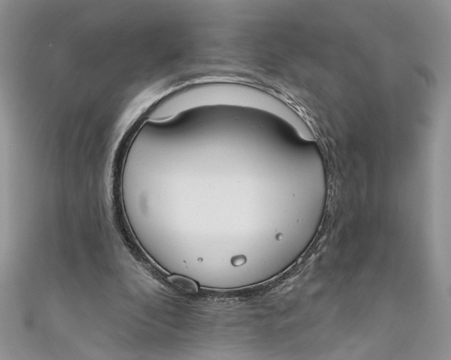 X0000110900296200907091421