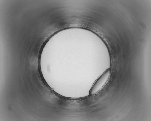 X0000110900297200907091421