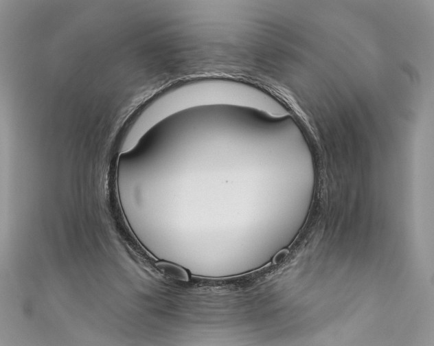 X0000110900299200907091421