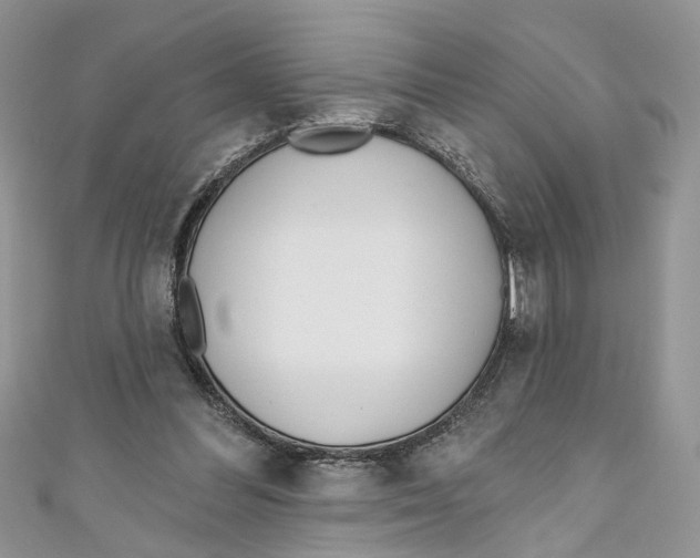 X0000110900300200907091421