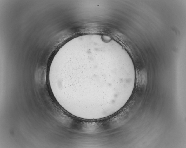 X0000110900301200907091421