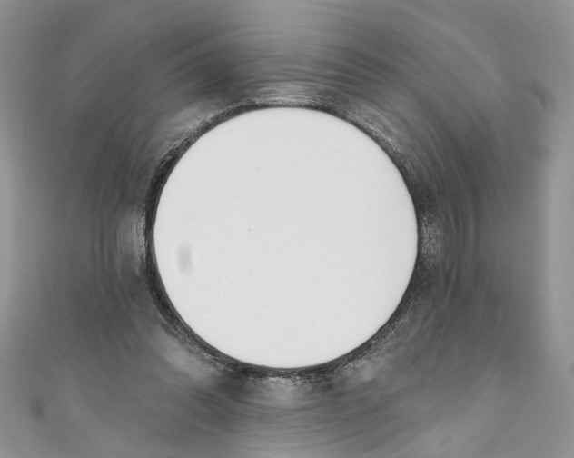 X0000110900302200907091421