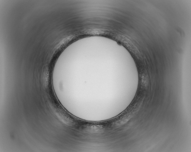 X0000110900304200907091421