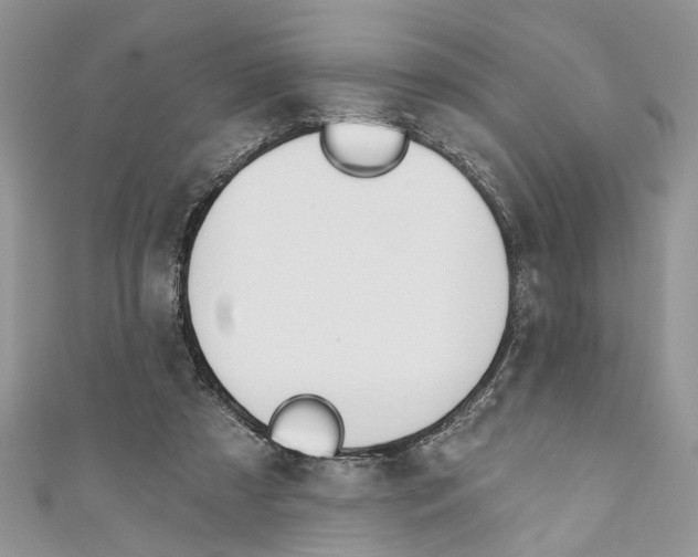 X0000110900305200907091421