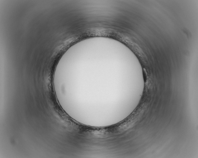 X0000110900306200907091421