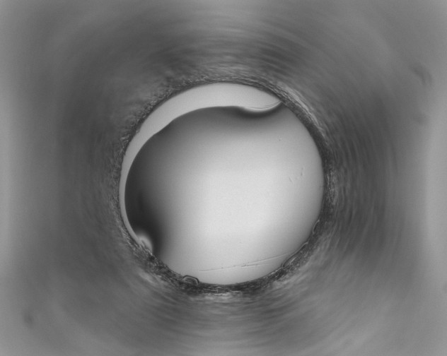 X0000110900307200907091421