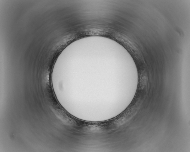 X0000110900310200907091421