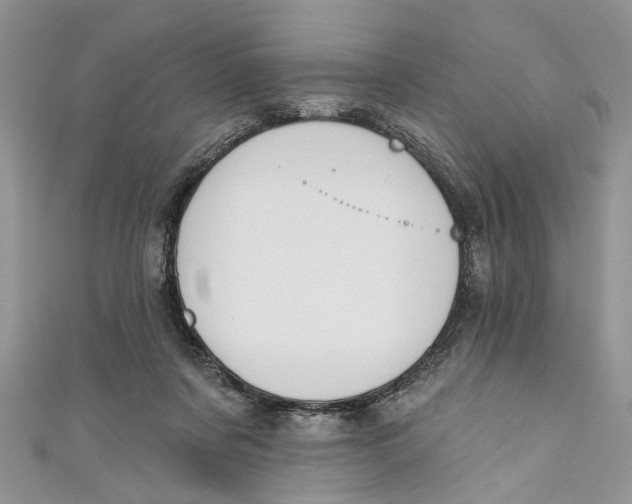 X0000110900311200907091421