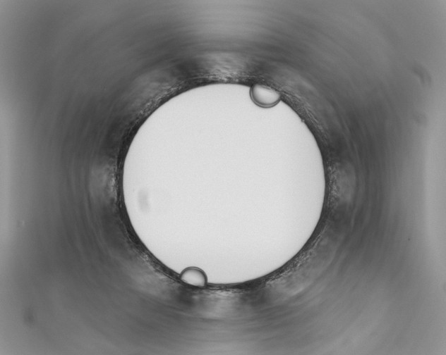 X0000110900313200907091421