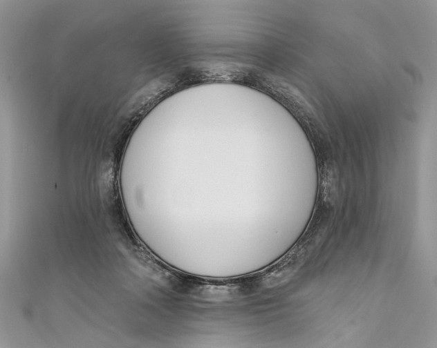 X0000110900314200907091421