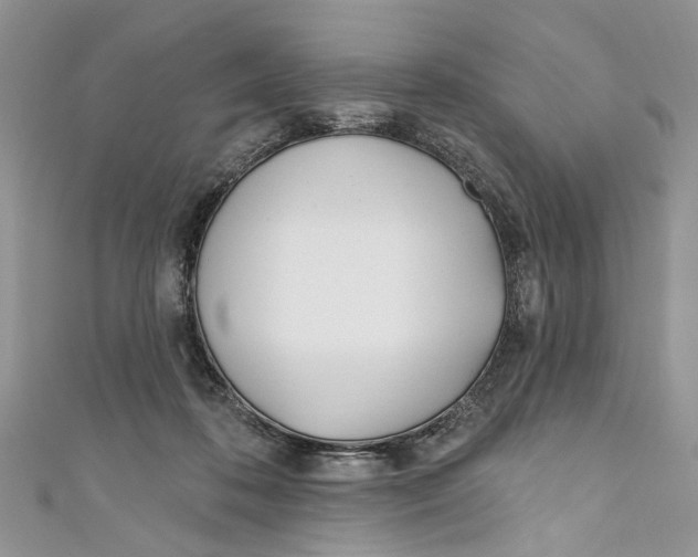 X0000110900316200907091421