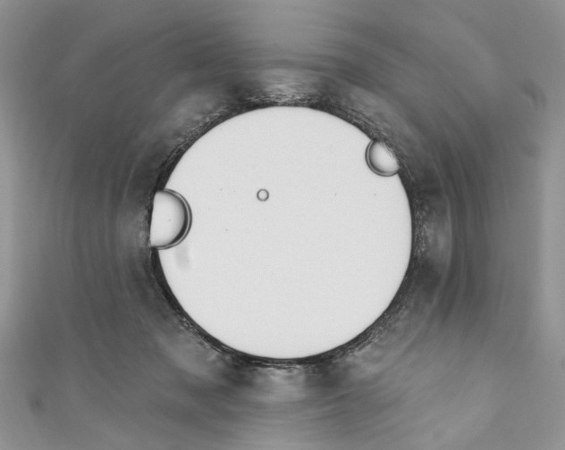 X0000110900317200907091421