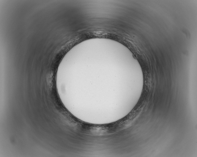 X0000110900319200907091421