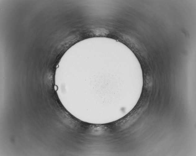 X0000110900321200907091421