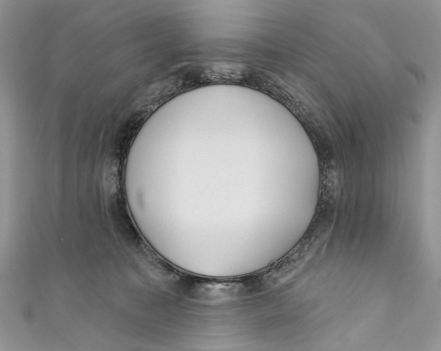 X0000110900323200907091421