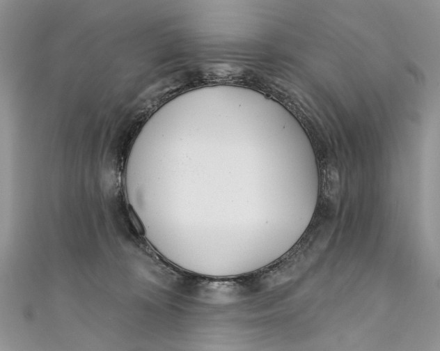 X0000110900324200907091421