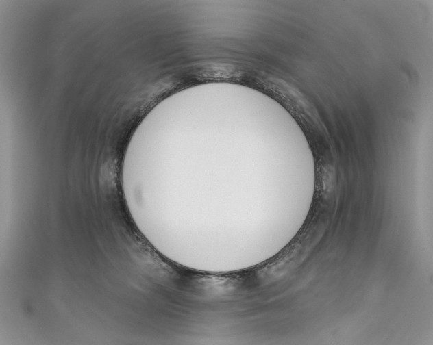 X0000110900326200907091421